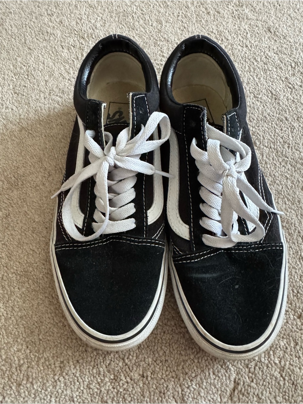 Vans Black Low-Top Sneakers with White Sidestripe